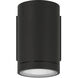Plaza 100 LED 6.3 inch Black Outdoor Wall Mount